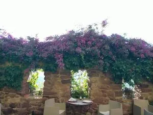 El Jardín Vertical - Useras