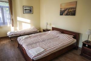 Muflon Apartman Jakuzzis Vendégház Mány