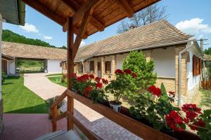 Pipacs és Tulipán Vendégház
