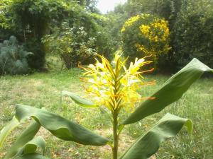 Sejours chez l'habitant Mirguet au Jardin : photos des chambres