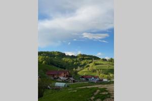 Valley House Cabana cu priveliste de vis