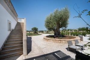 TERRA TERRA - Masseria Minunni