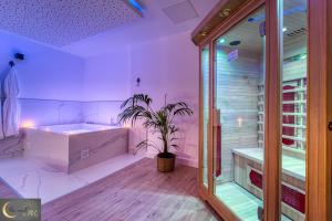 Appartements Spa et Sauna au coeur de Metz (unenuitametz) : photos des chambres