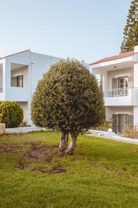 Iphigenia Mythic Retreat