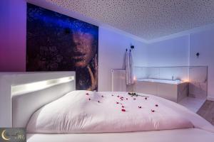 Appartements Spa et Sauna au coeur de Metz (unenuitametz) : photos des chambres