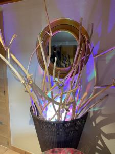 Hotel et Spa du Scharrach