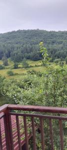 Стаи за гости Шейтанови