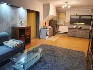 Apartament u Ani - Zendek