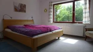Gemütliches Zimmer mit Doppelbett und Tischtennisraum - Langenzenn