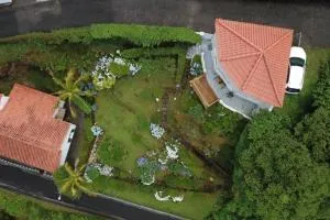 On the Clouds - Lagoa das Furnas