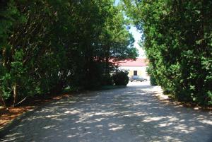 Apartament Szumawa