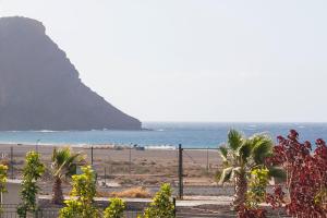 Ocean Paradise 1 La Tejita few meters from the beach