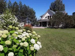 Willipu Guesthouse - Nina