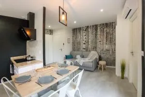 APPART-HOTEL n 4 calme avec terrasse, Wi-fi haut débit, petit-déjeuner, room-service et parking privé - Charnay