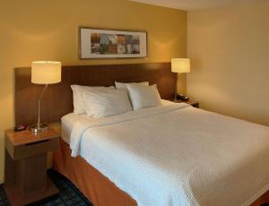 Standard King Room - Non Smoking room in Comfort Inn & Suites Ankeny - Des Moines