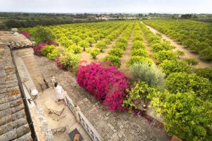 Hotel Villa Favorita