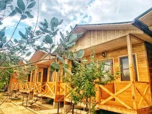 Guest House Divny Sad - Psysh