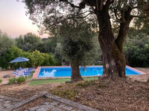Monte da Fonte - piscina, tenis e snooker no Alentejo