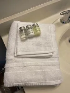 Oasis - Entire Home 10 minutes from Uptown Charlotte, NC - Bahama Park