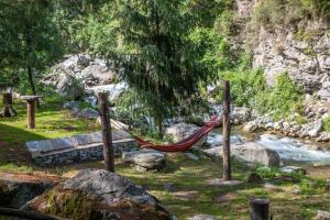 Tirthan Anglers Retreat