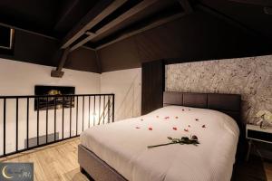 Appartements Le Loft Spa au coeur de Metz (unenuitametz) : photos des chambres