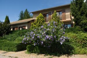 Hotels Hotel & Restaurant Azur : Bungalow avec Jardin