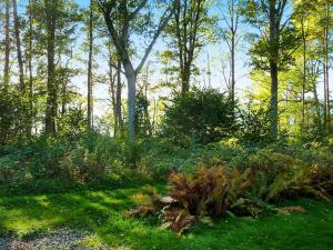 4 person holiday home in BRAÅS-By Traum