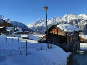 Apartment mit Traumblick im Haus Olympia - Törbel