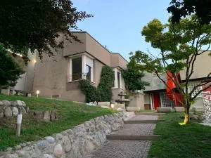 Volta's Dream - Camnago Volta