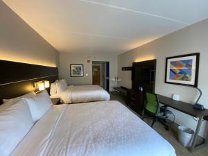 Standard Room with Two Queen Beds room in Holiday Inn Express & Suites - Prospect Heights an IHG Hotel