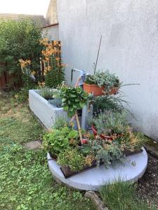 Ferienwohnung Casa Flora