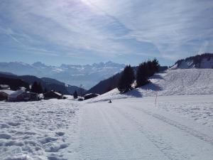 Appartements Les Terrasses du Mont blanc : photos des chambres