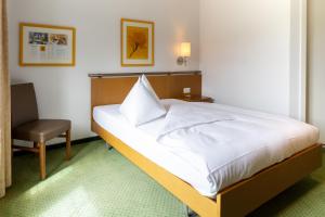 Basic Double Room room in Landgasthof Kreuz