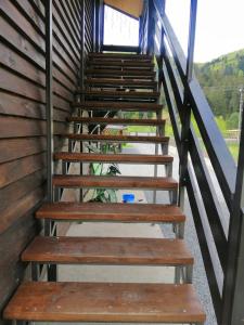 Гостинний двір" Живиця" ЧАН