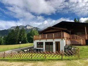 Apartment Silberwald - Obersteinberg