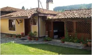 Янко Кехая - Стрелча