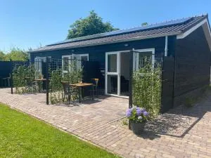 Studio Duinroos - Plompetoren