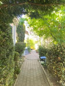 CUGNAUX Toulouse Metropole OUEST Chambre Privée de Luxe - SDB WC privée Terrasse Piscine Aqua Bike