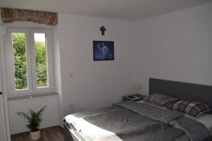 APARTMENTS SCIRENICA