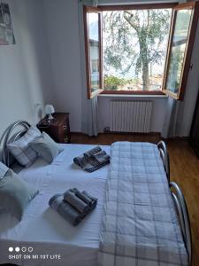 Appartamento