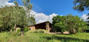 Villas Domaine Codaleone : photos des chambres