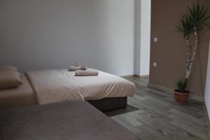 Mihails Apartments in Ohrid 3