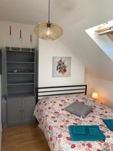 Appartements O Montrichard climatise Zoo Beauval Chateau : photos des chambres