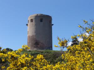 Corallo Vacanze img51