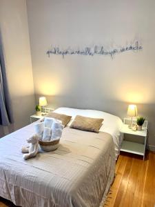 Appartement Hyper-centre Colmar
