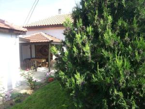 Guesthause Pri Vasko