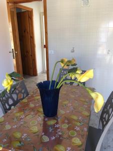 Rosa Home