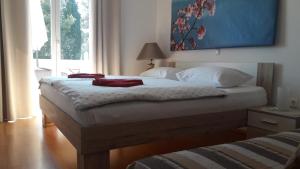 Apartments Villa Natali - Heating Pool