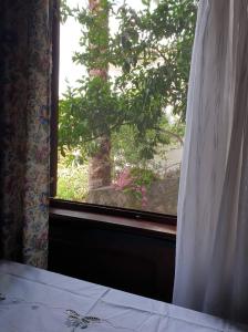 Apartman Veliki Pijesak