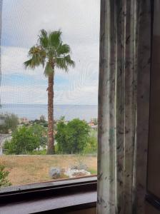 Apartman Veliki Pijesak